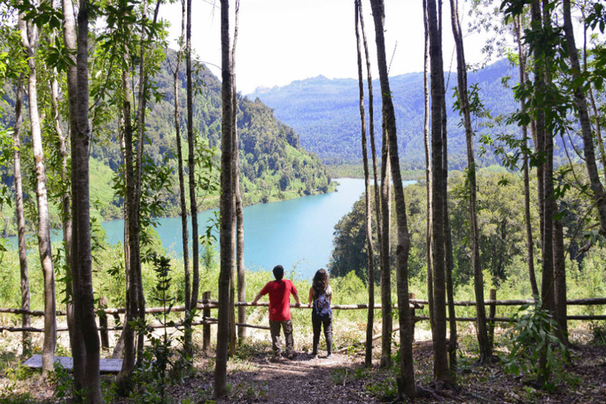 House Image of Parque Futangue en Lago Ranco: La Joya Escondida de Chile